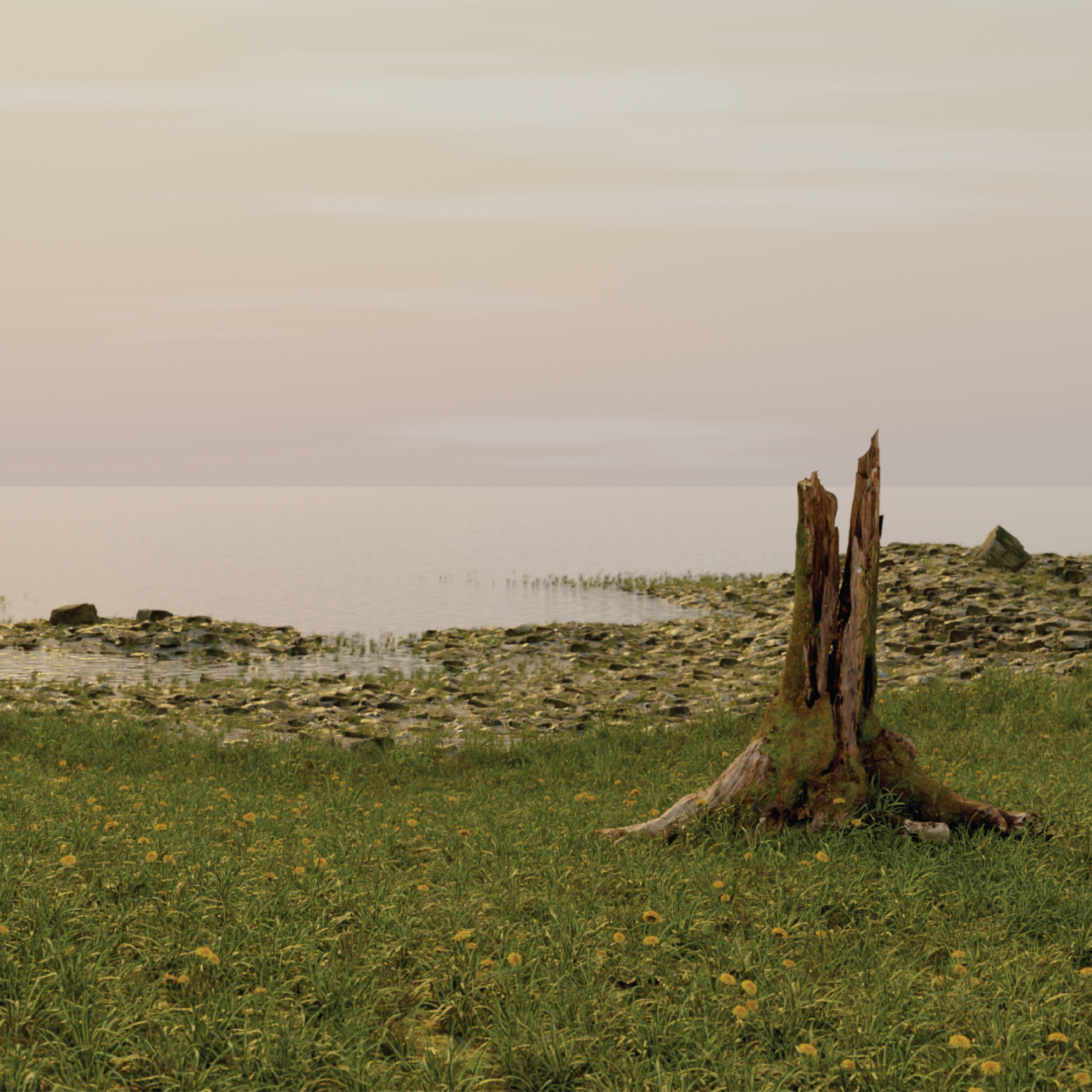 The Stump (2023)