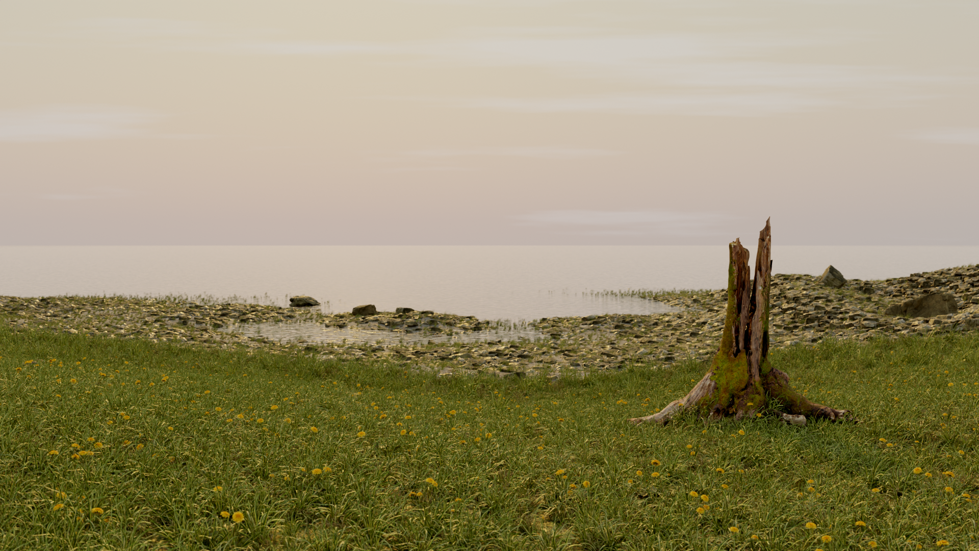 The Stump variant 1
