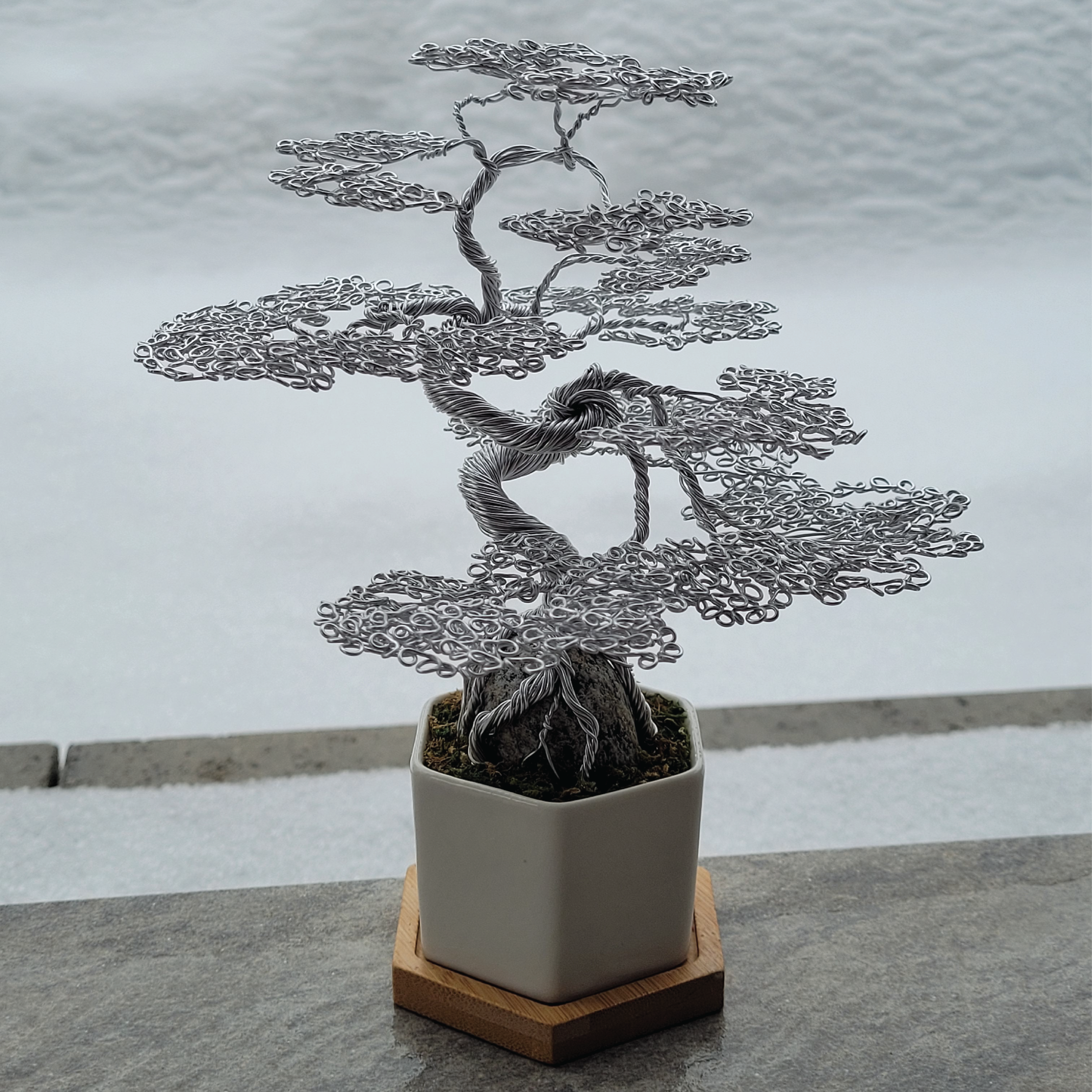 Wire Bonsai (2025)